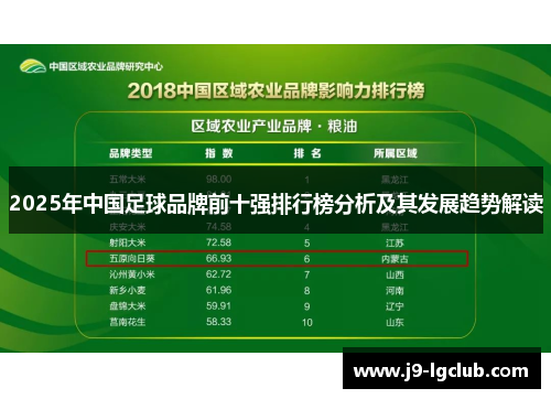 2025年中国足球品牌前十强排行榜分析及其发展趋势解读