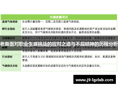 老詹面对职业生涯挑战的应对之道与不屈精神的历程分析