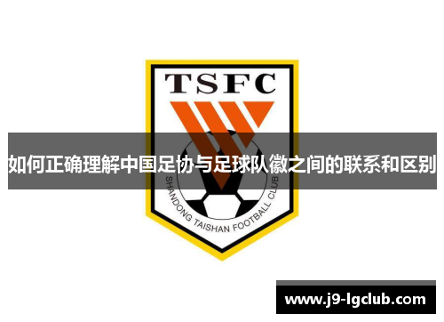 如何正确理解中国足协与足球队徽之间的联系和区别
